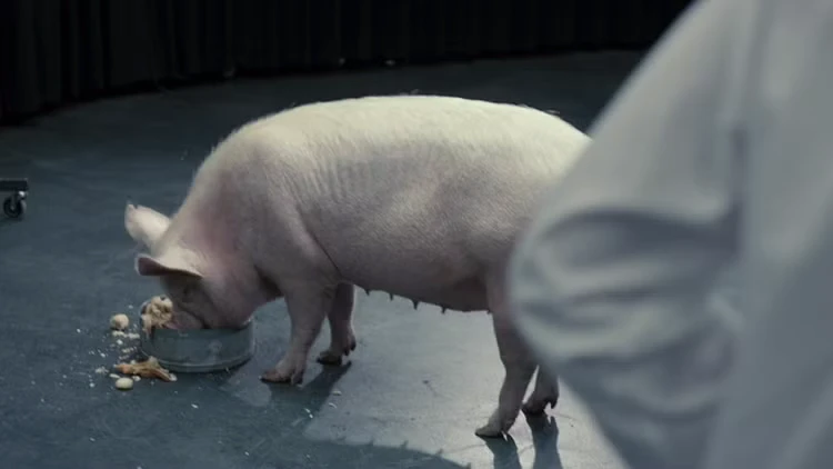 Черное Зеркало сезон 1 серия 1